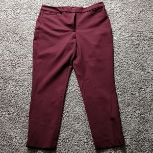 Nwt WHBM sz 12 slim ankle pants